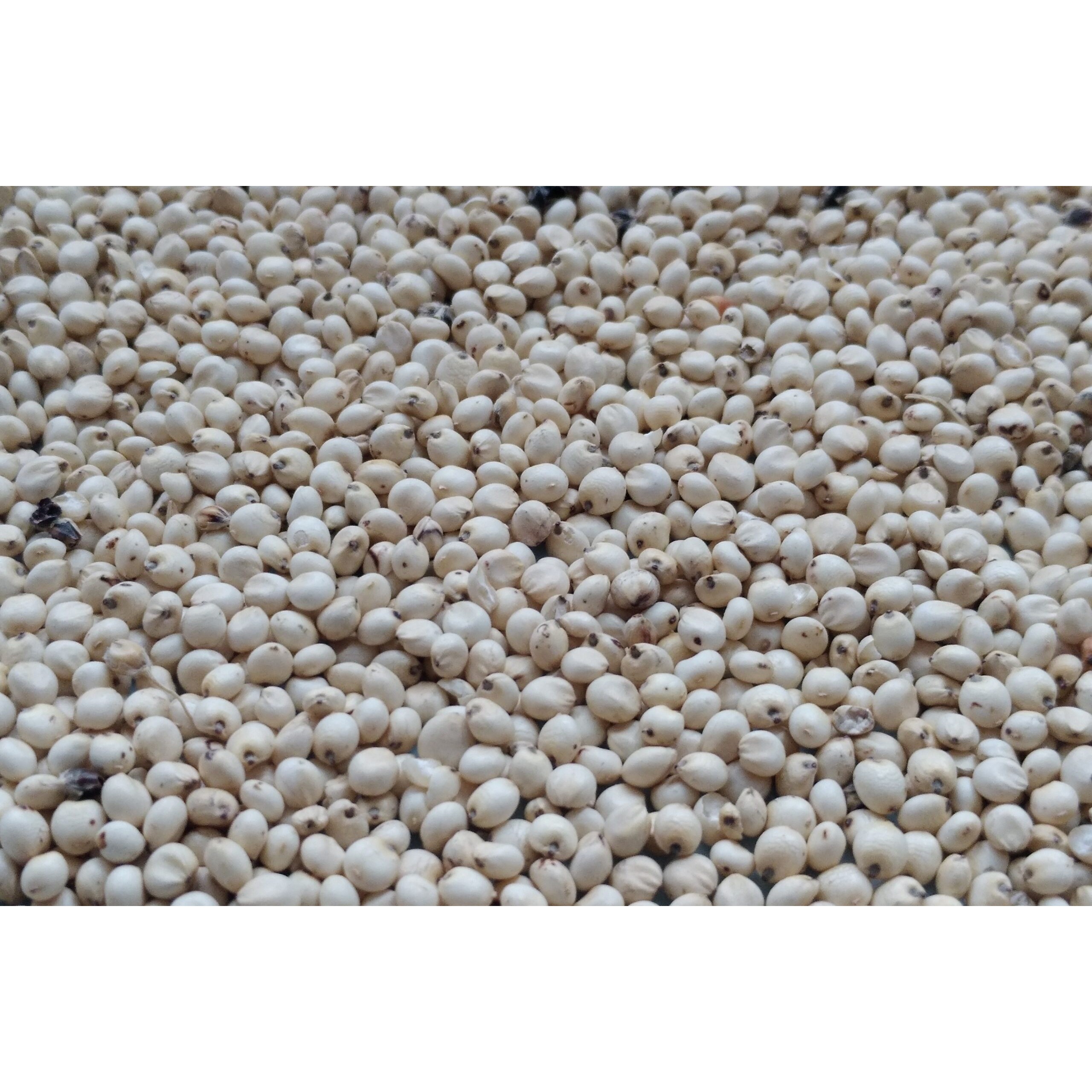 Idhayam White Sorghum Mixture 12 OZ