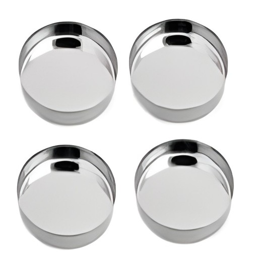 Stainless Steel Plate 10inch 1 EACH