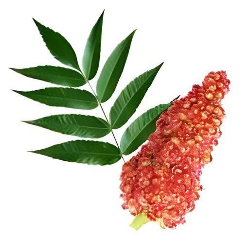 Mid East Sumac 9 OZ