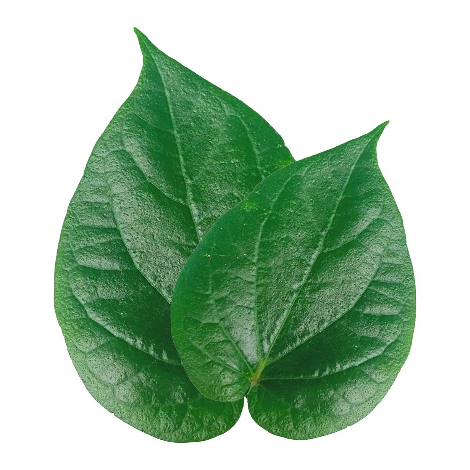 Fresh Paan Leaves 1 PACK