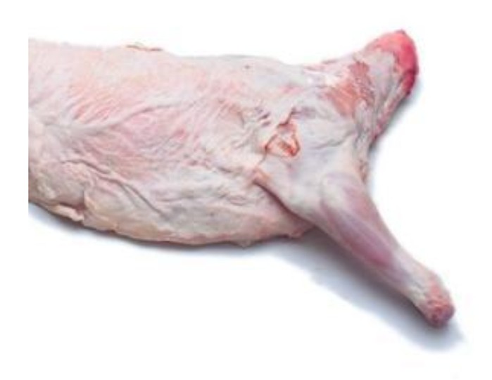 Baby Lamb Half Or Whole 1 LBS