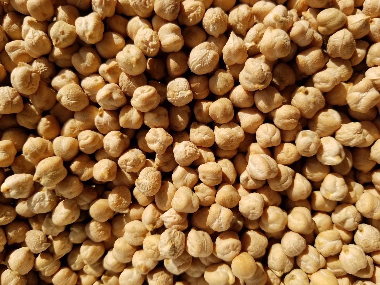 Crescent Garbanzo Beans 24 OZ