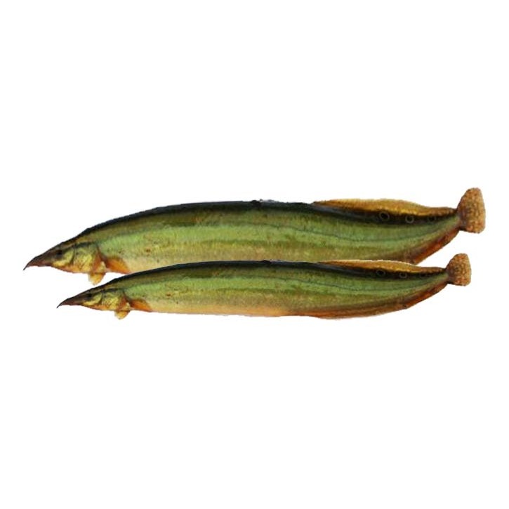 Star Baim (Eel) 4 LBS