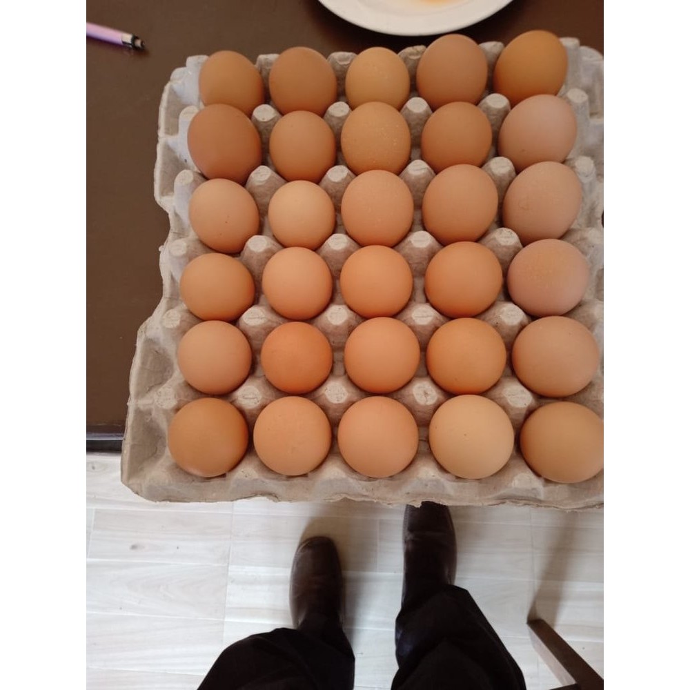 Organic Eggs 24 COUNT