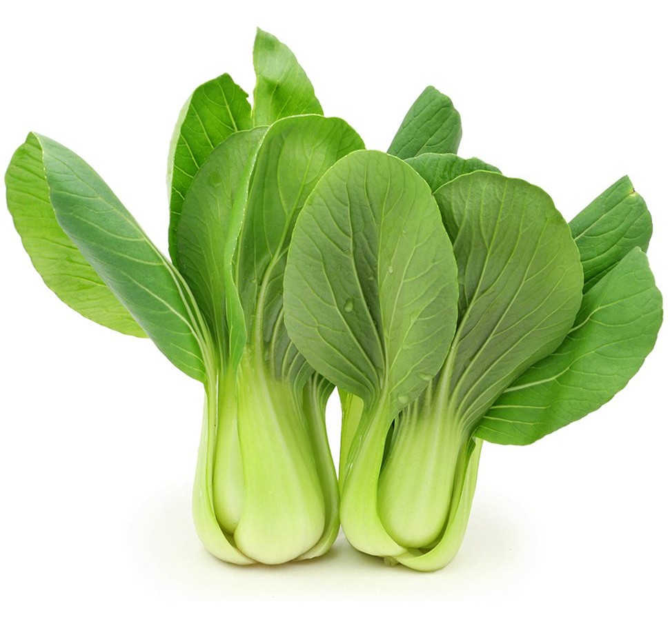 Bok Choy Shanghai 1 LBS