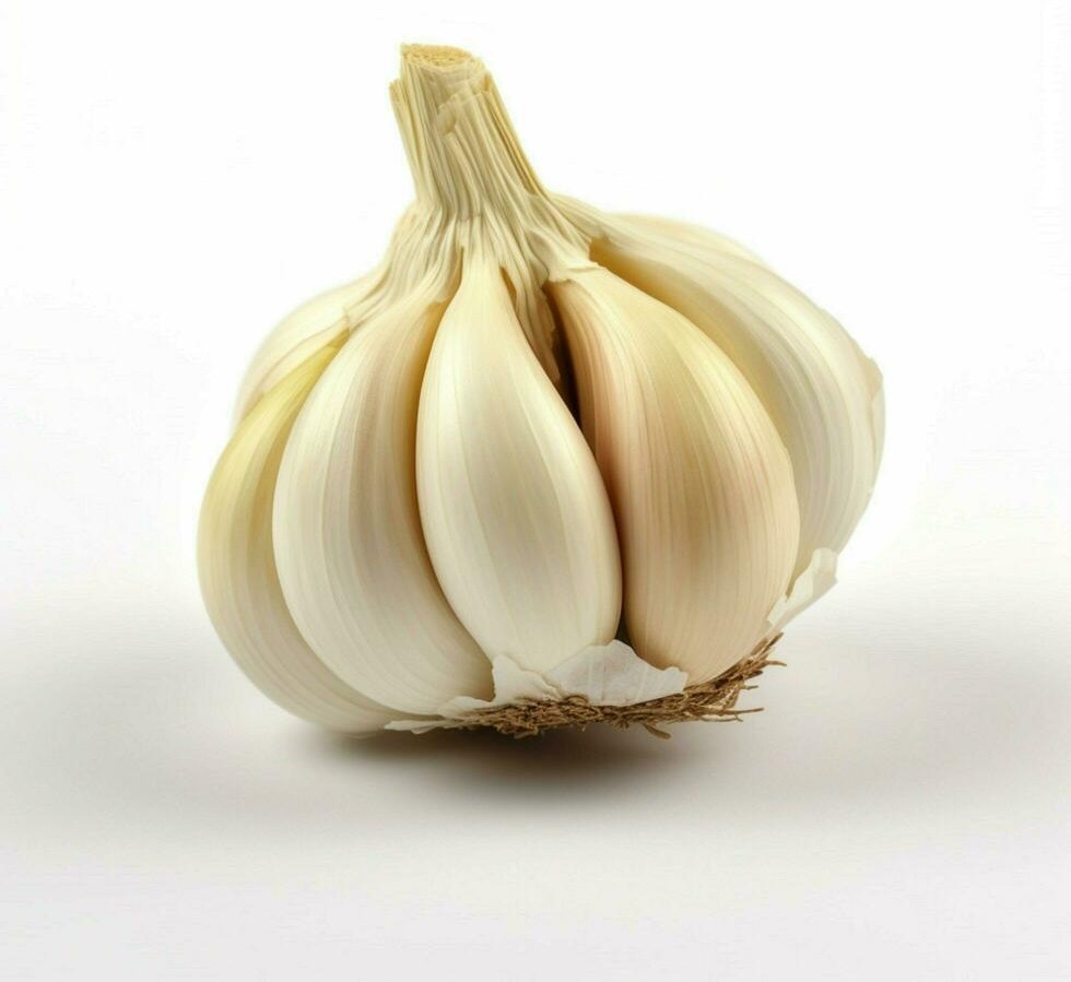 Garlic 5 LBS
