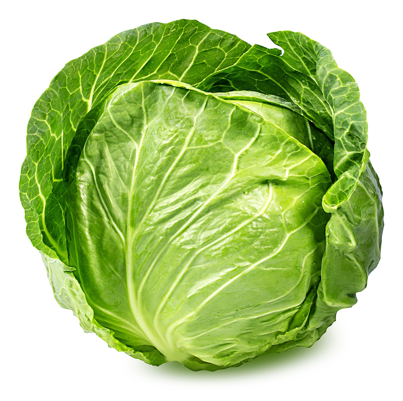 Cabbage Green 1 EA