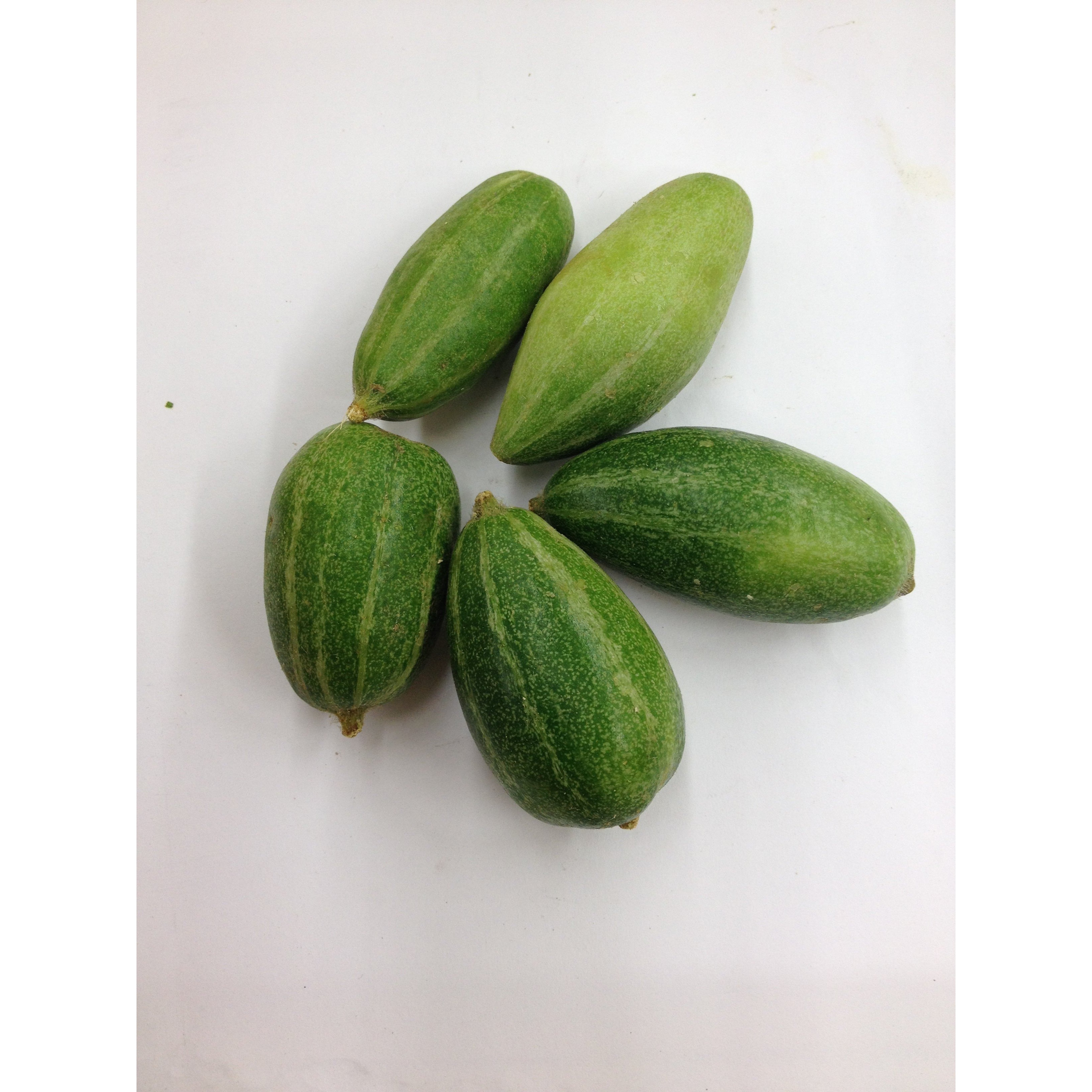 Pre Cut Parval 1 LB
