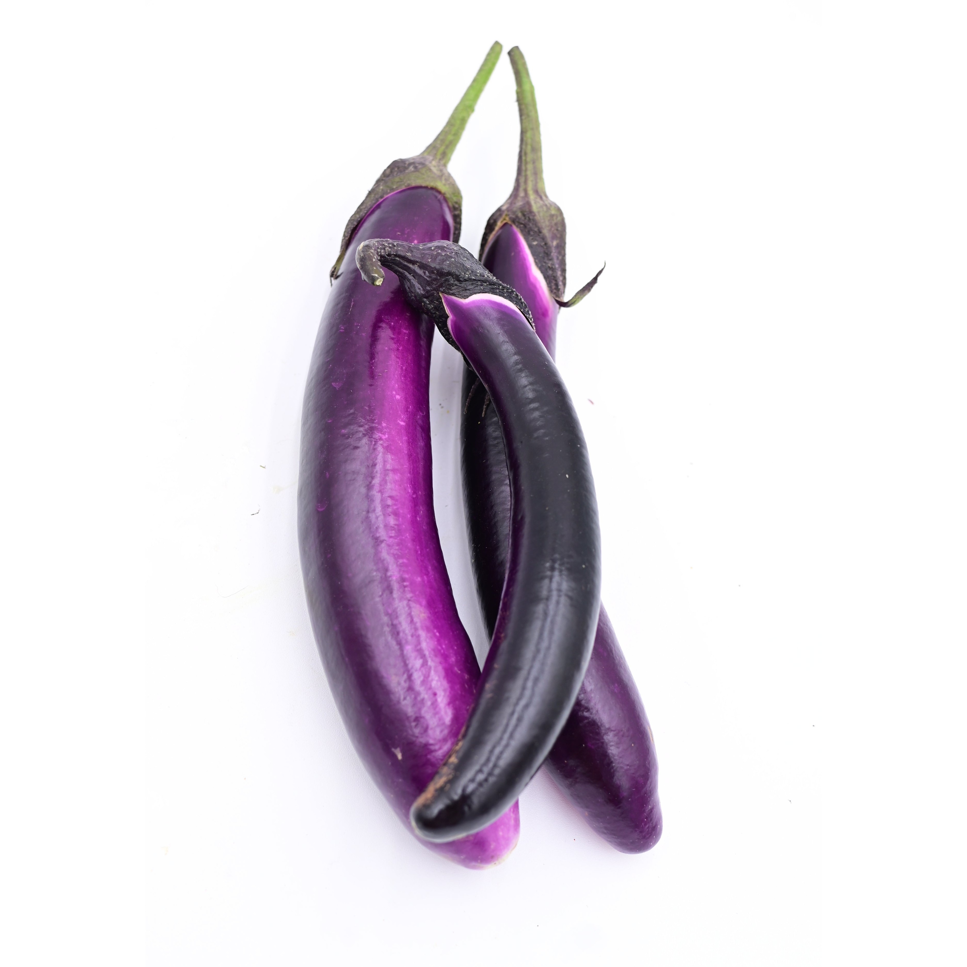 Long Eggplant 1 PACK