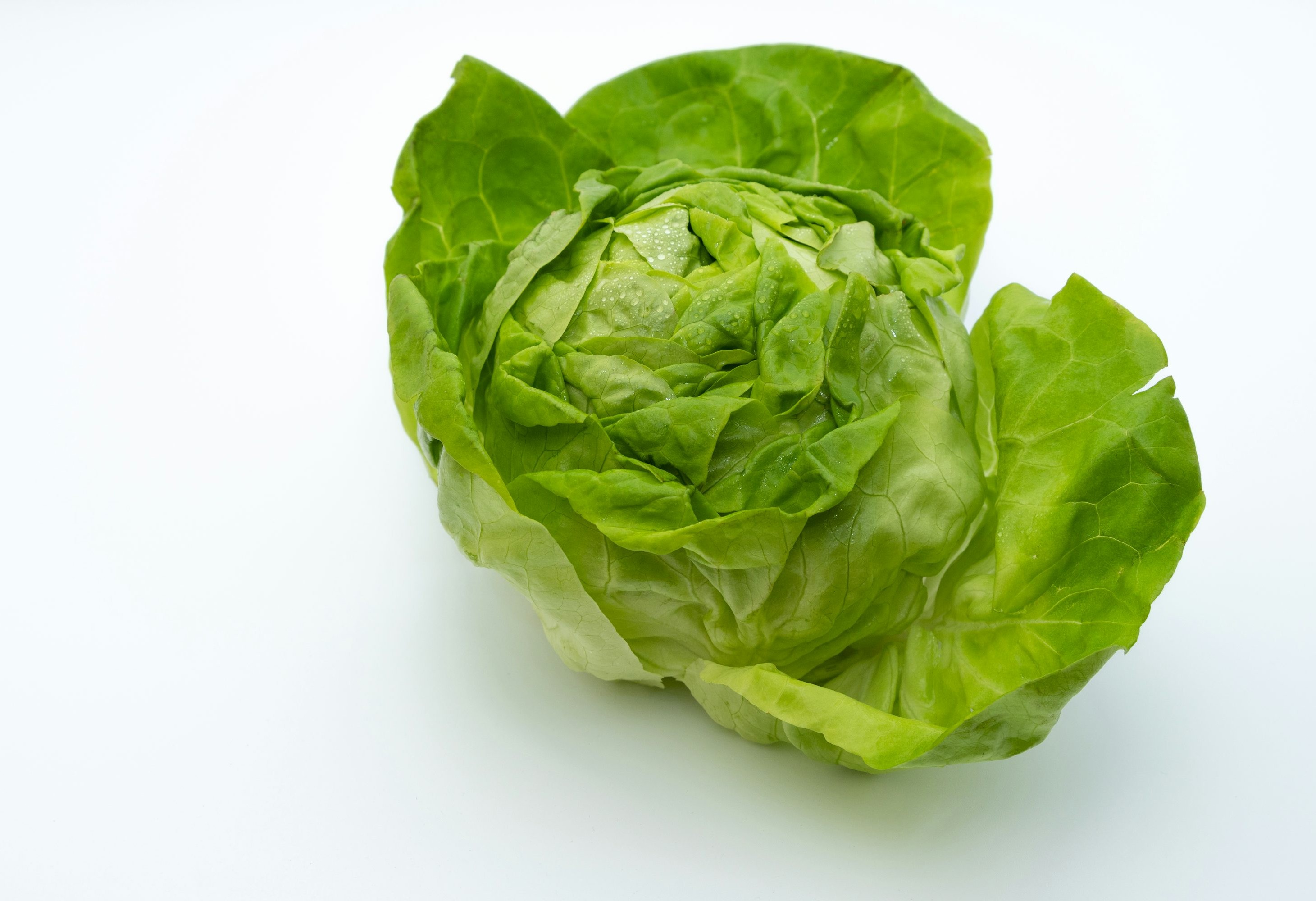 Lettuce 1 BUNCH