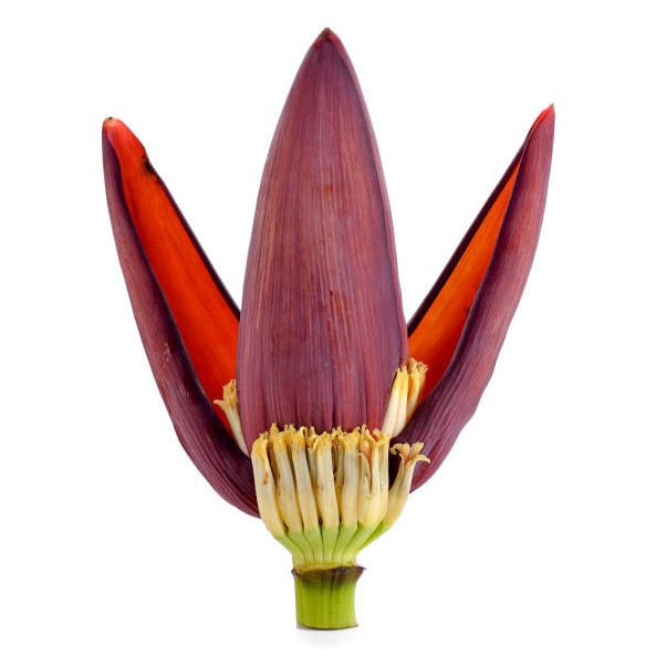 Banana Flower 1 EACH