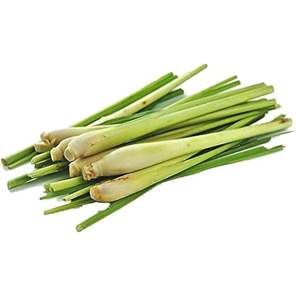 Lemon Grass 1 LBS