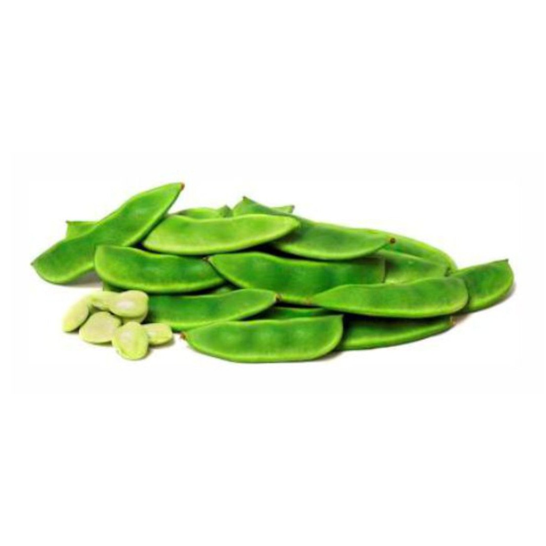 Surti Bengali Papdi 1 LBS