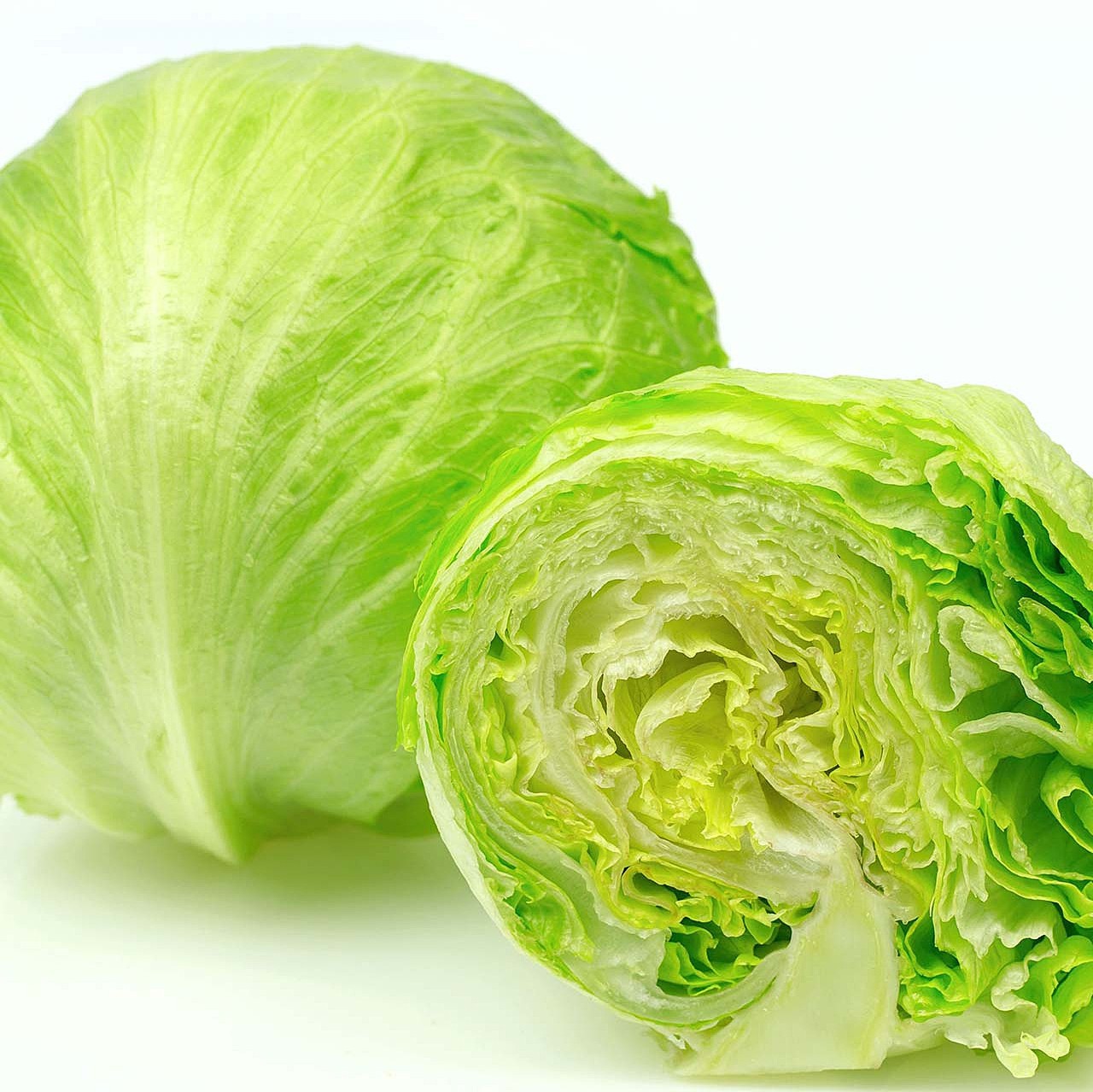 Lettuce Cello 1 LBS