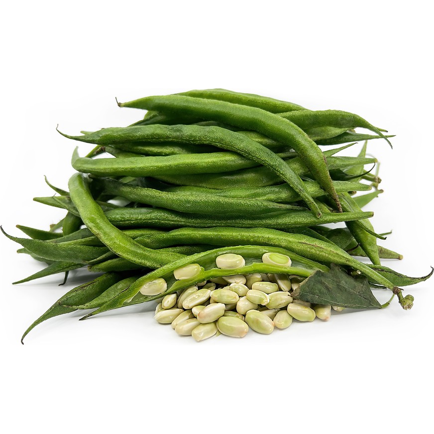 Valor Round Bean 1 LBS