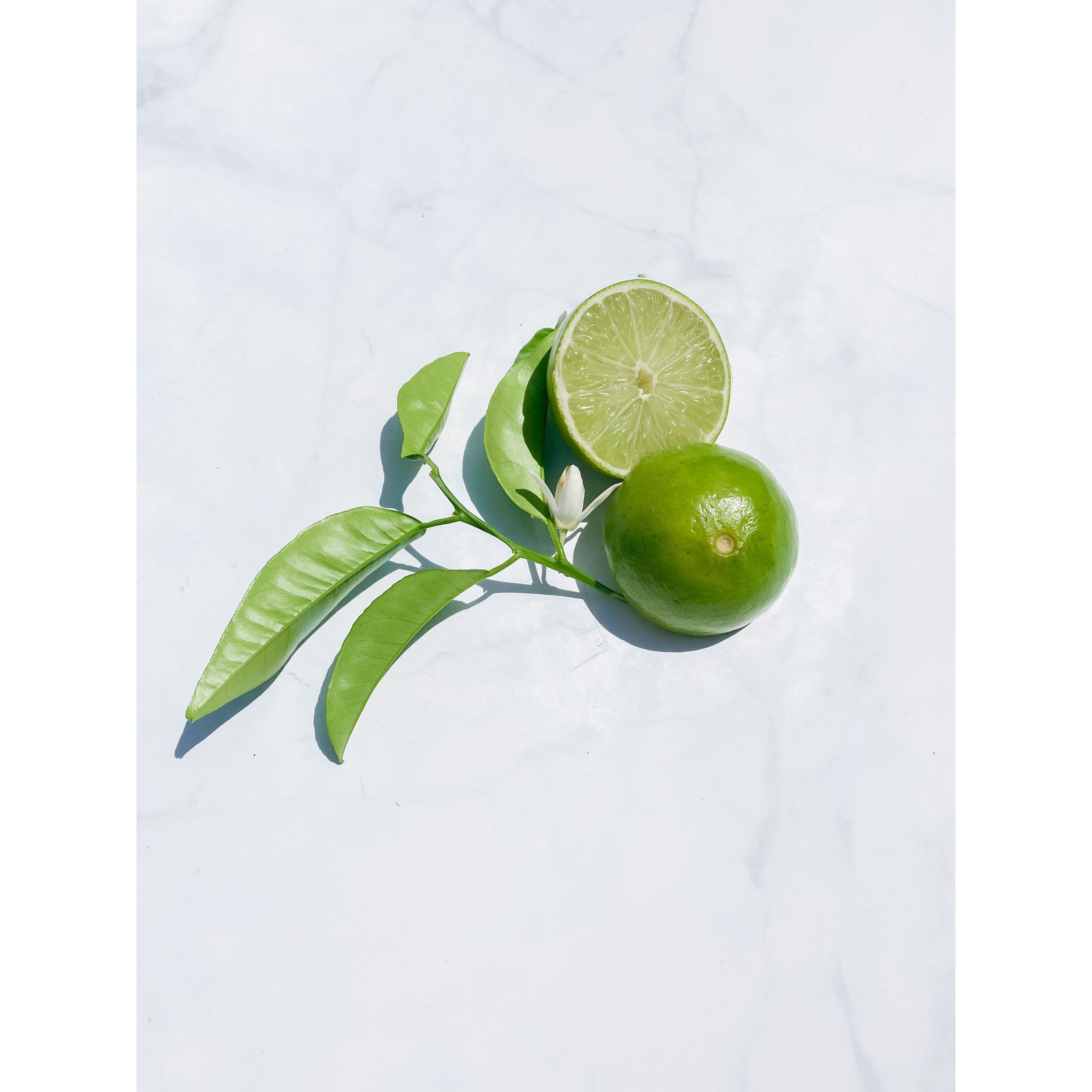 Lime 4 PCS