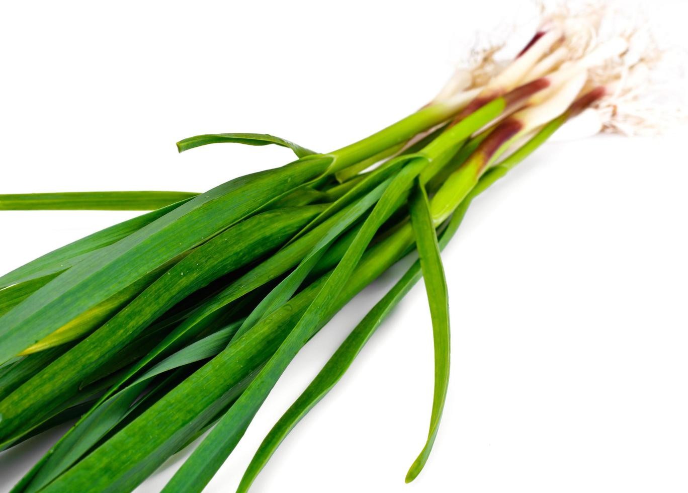 Green Garlic 2 LBS