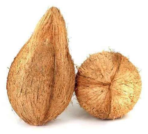 Coconut Puja 1 EACH