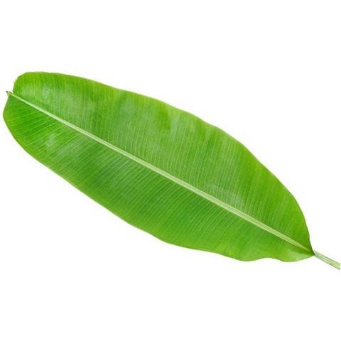 Banana Leaf 1 EACH