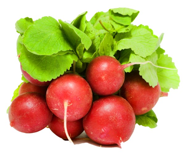For You Fresh Radishes 1 LBS