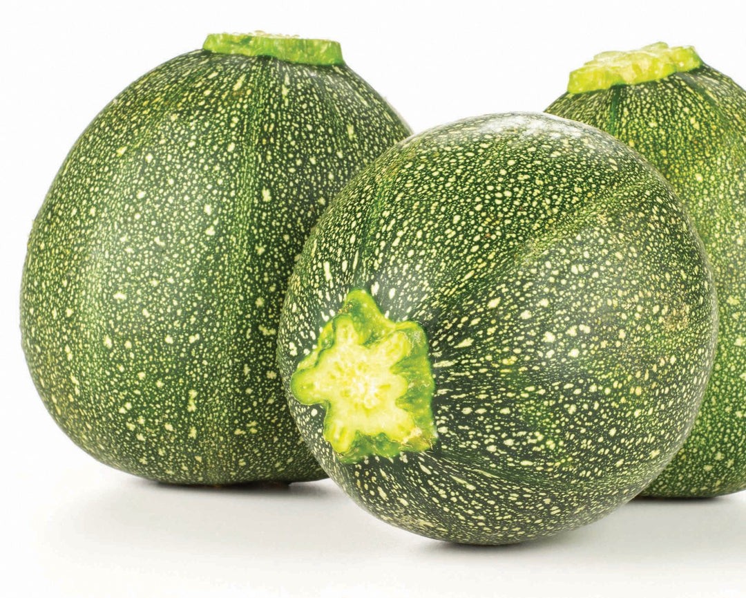Zucchini Globe 1 LBS