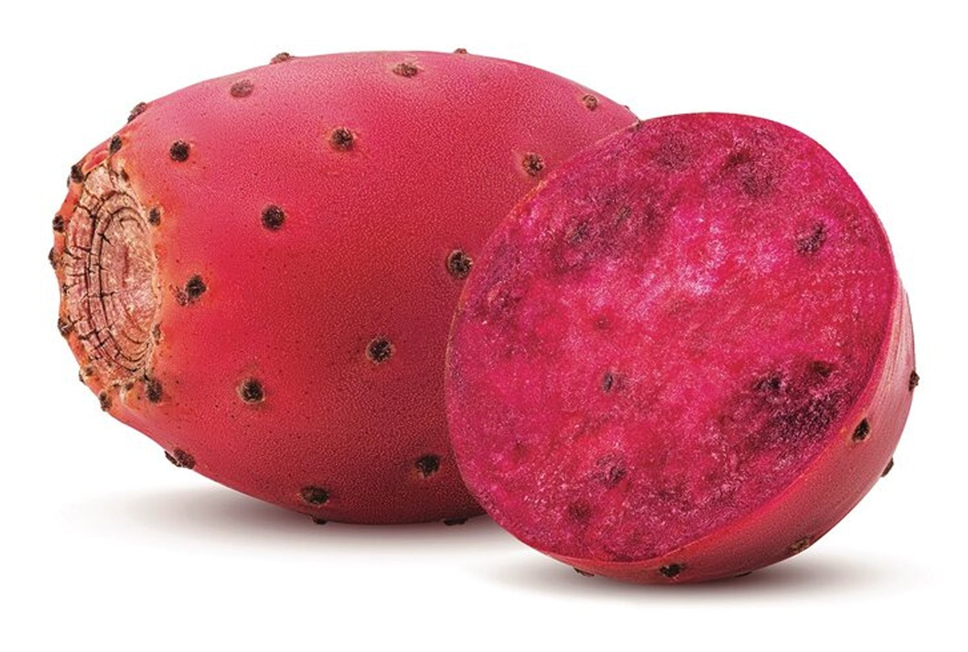 Cactus Red Tuna Roja 1 LBS