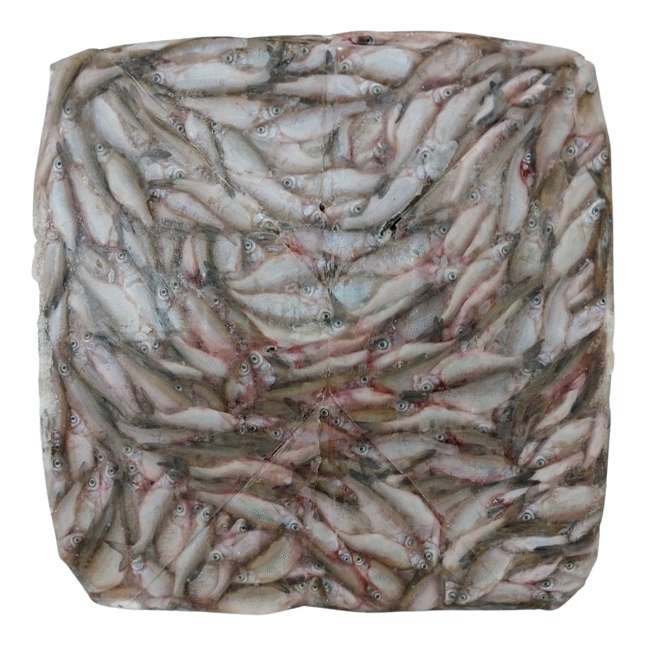 Mix Fish Block 1 LBS