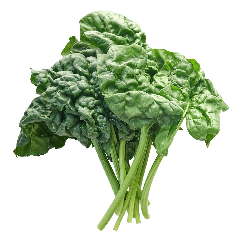 Spinich Big Bag 1 BUNCH