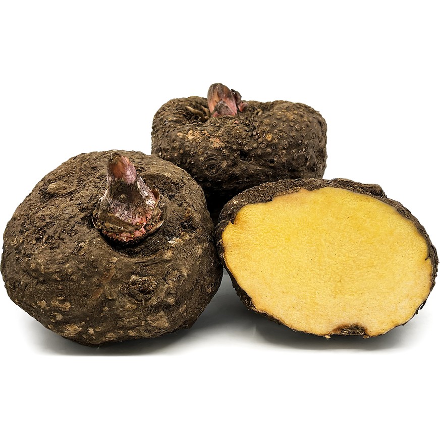 Suran Yam 1 LBS