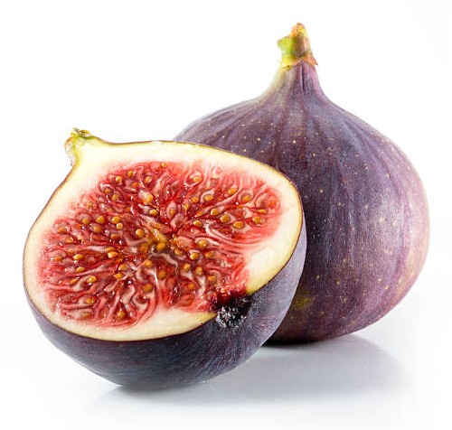 Figs 8 OZ