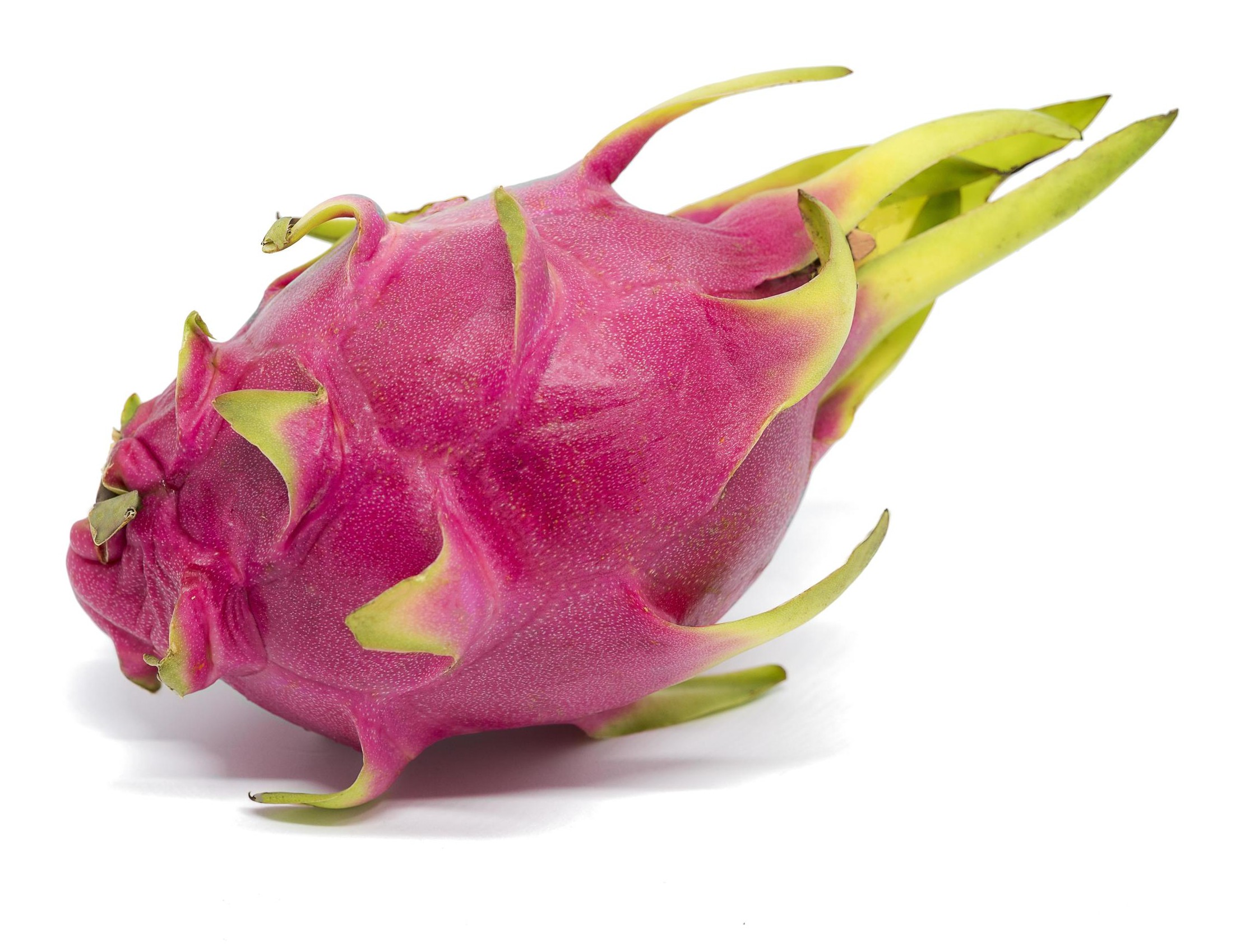 Dragonfruit 1 LBS