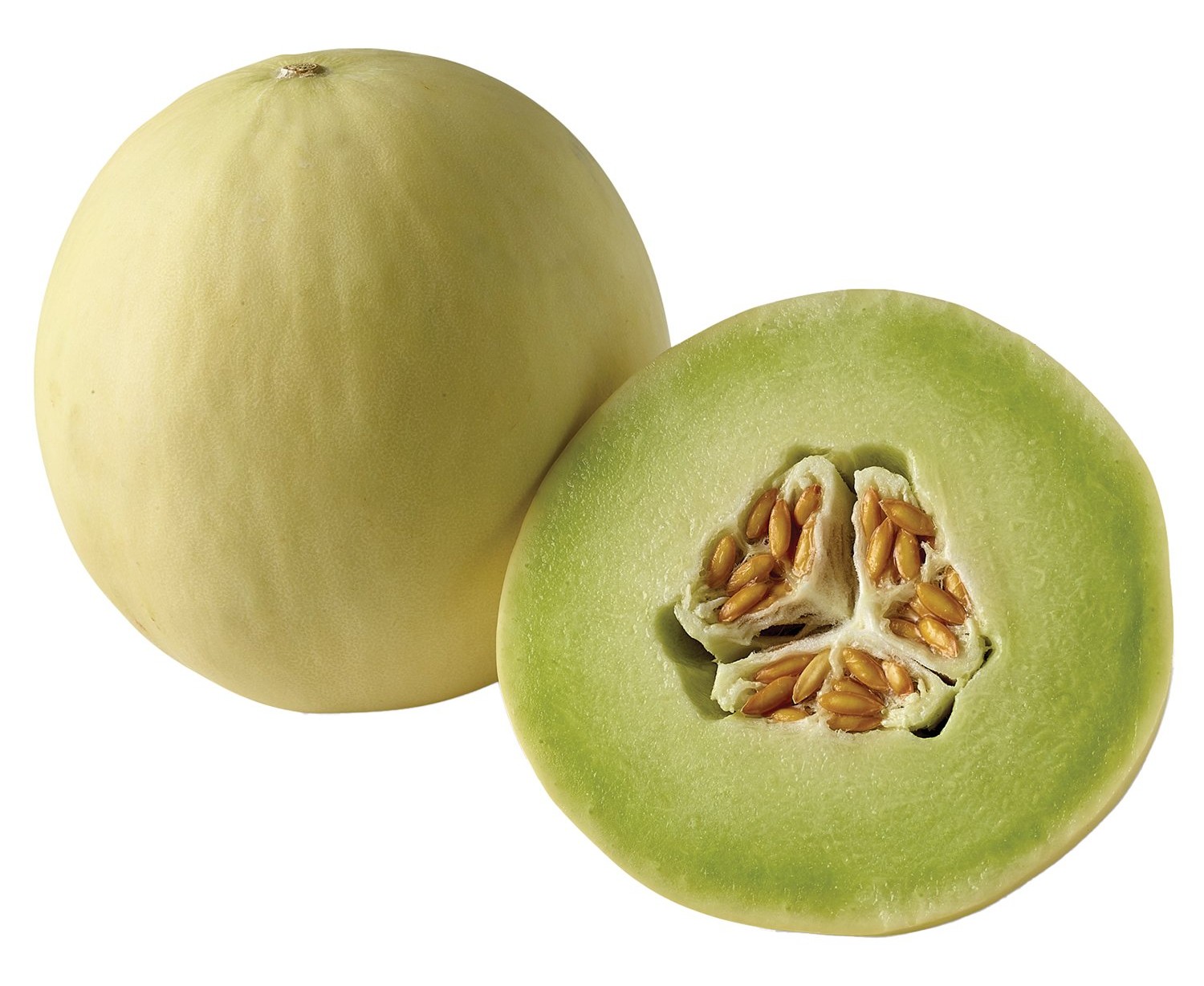 Honeydew Melon Large 1 LB
