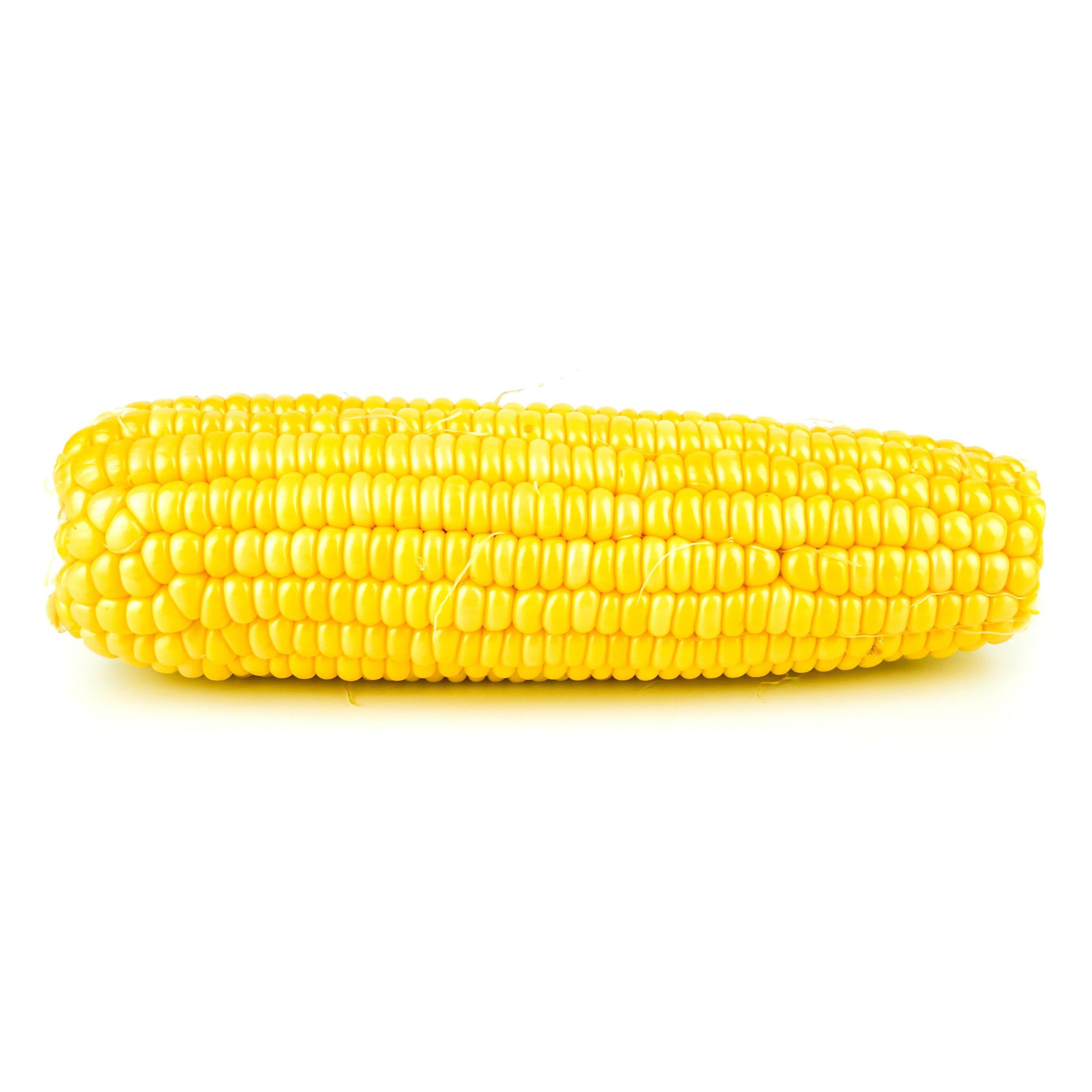 Yellow Corn 1 LBS