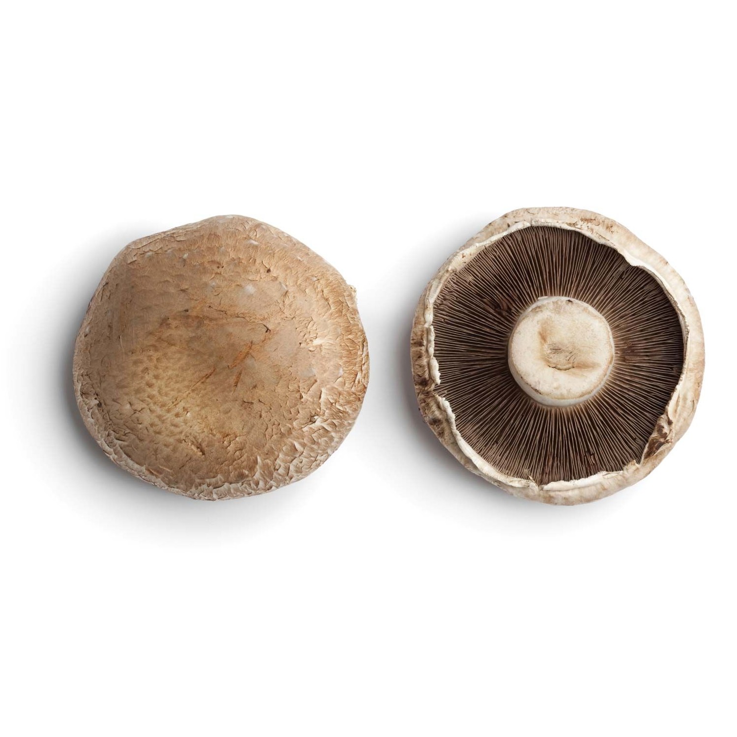 Portabella Mush 1 LBS