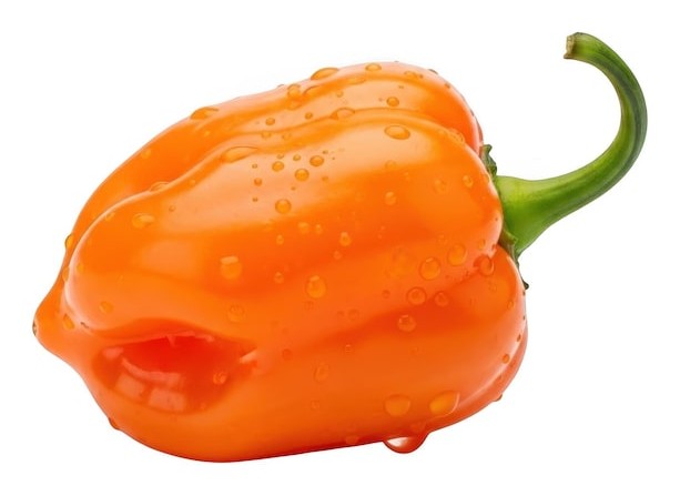Orange Pepper 1 EACH