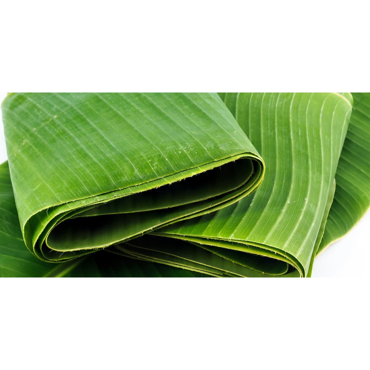 Banana Leaves 10 PACK