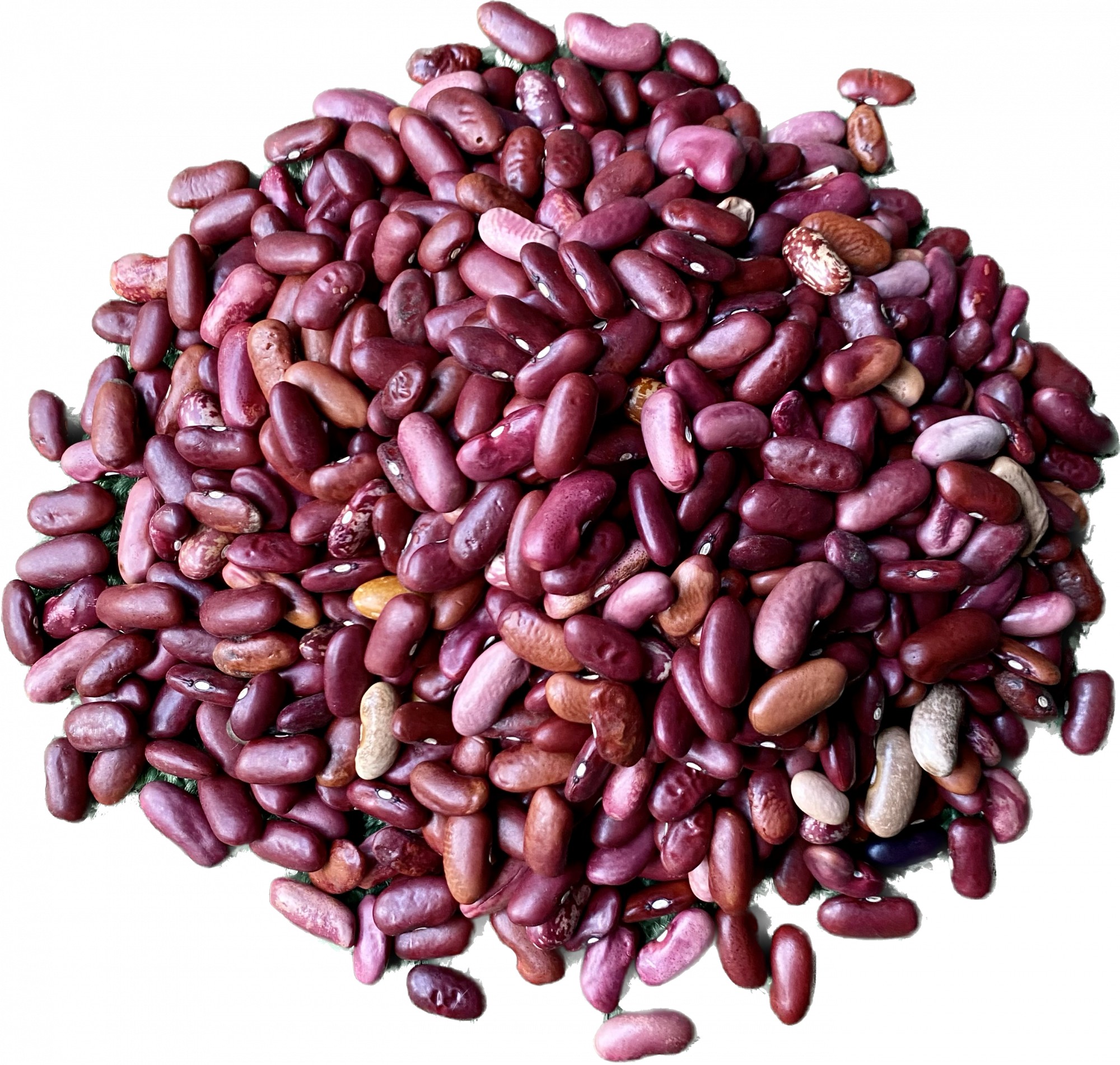 Ankur Kashmiri Rajma 2 LBS