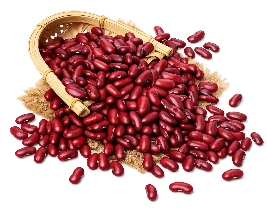 Ankur Kashmiri Rajma 4 LBS
