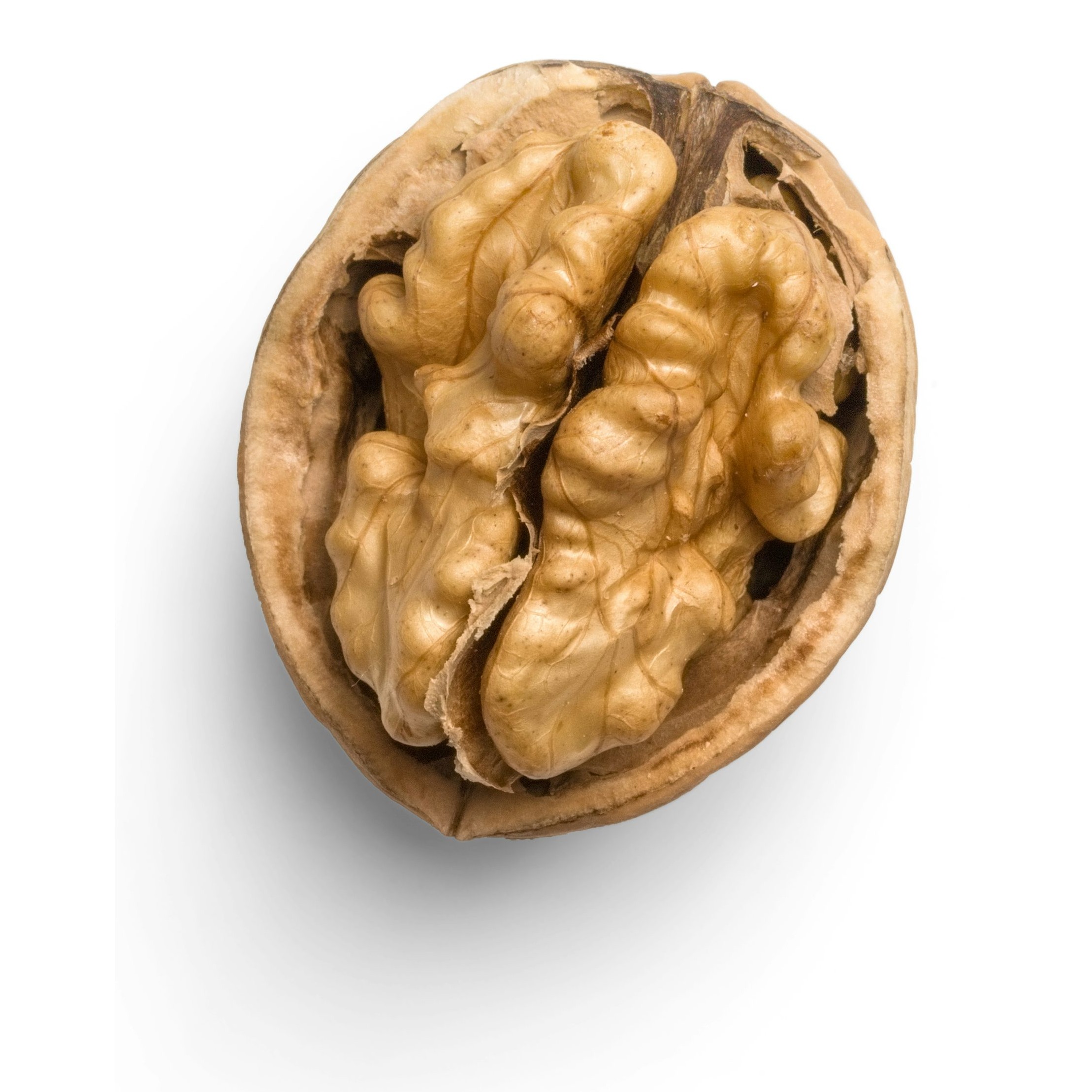 Gofresh Walnut 14 OZ