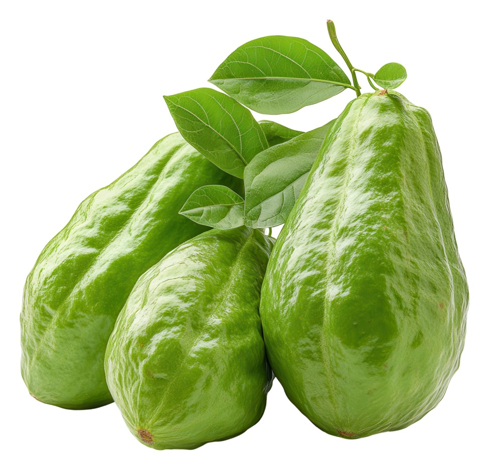 Chayote Squash 1 PCS