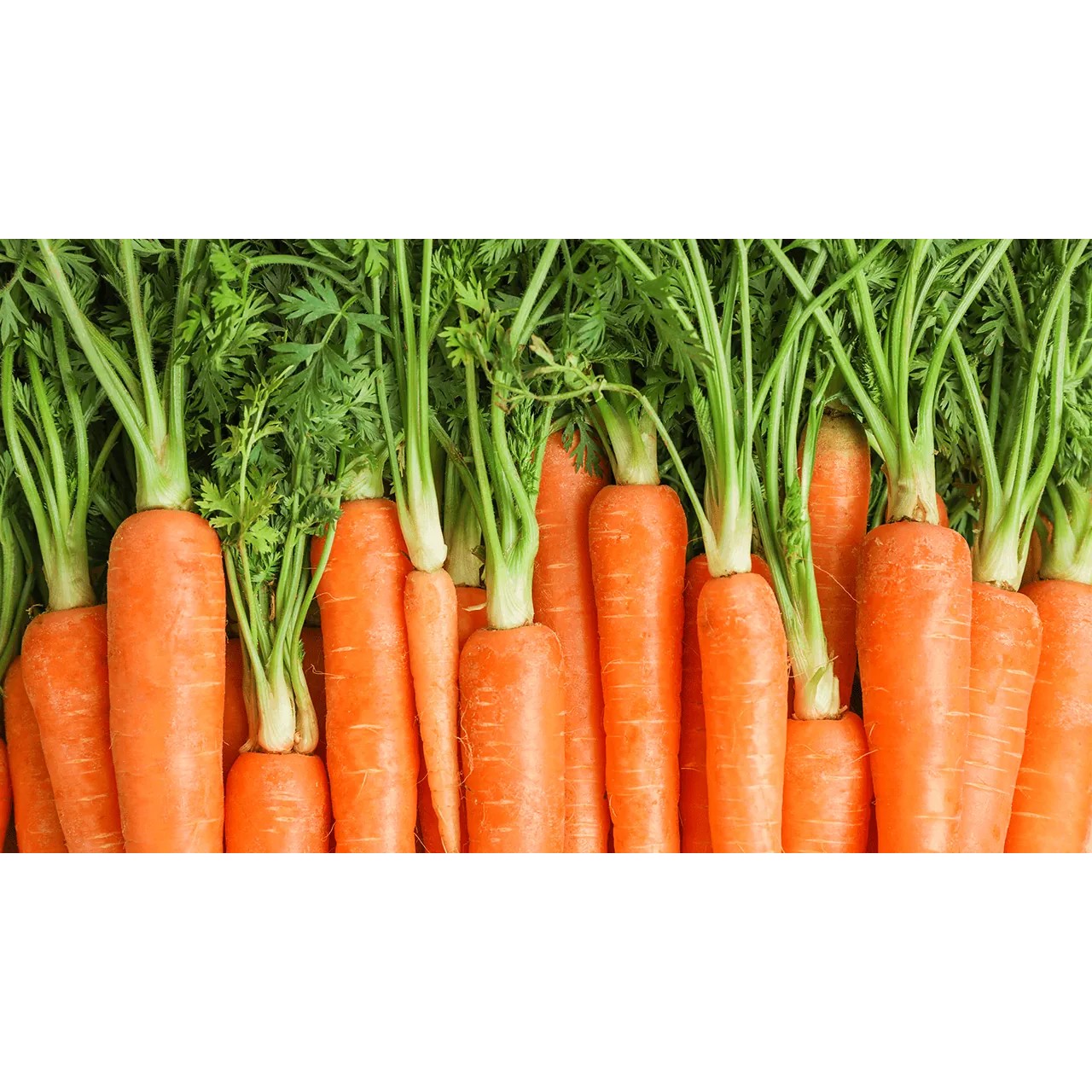 Carrots Bunch 1 LBS