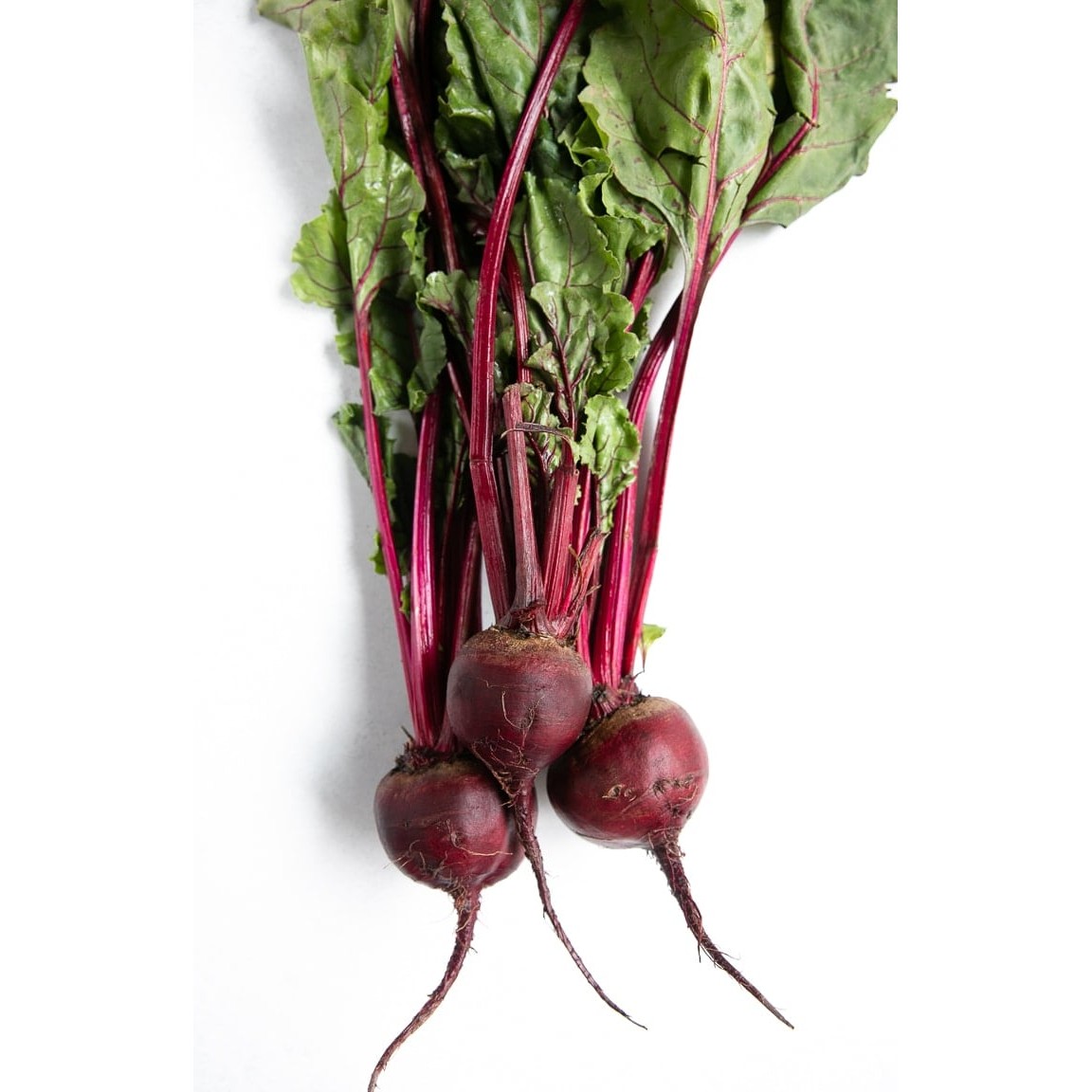 Beet 4 PCS