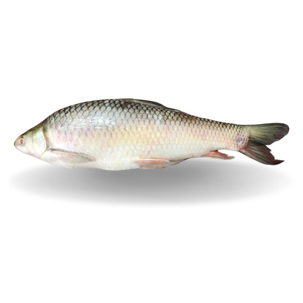 Mirgal Whole 1 LBS