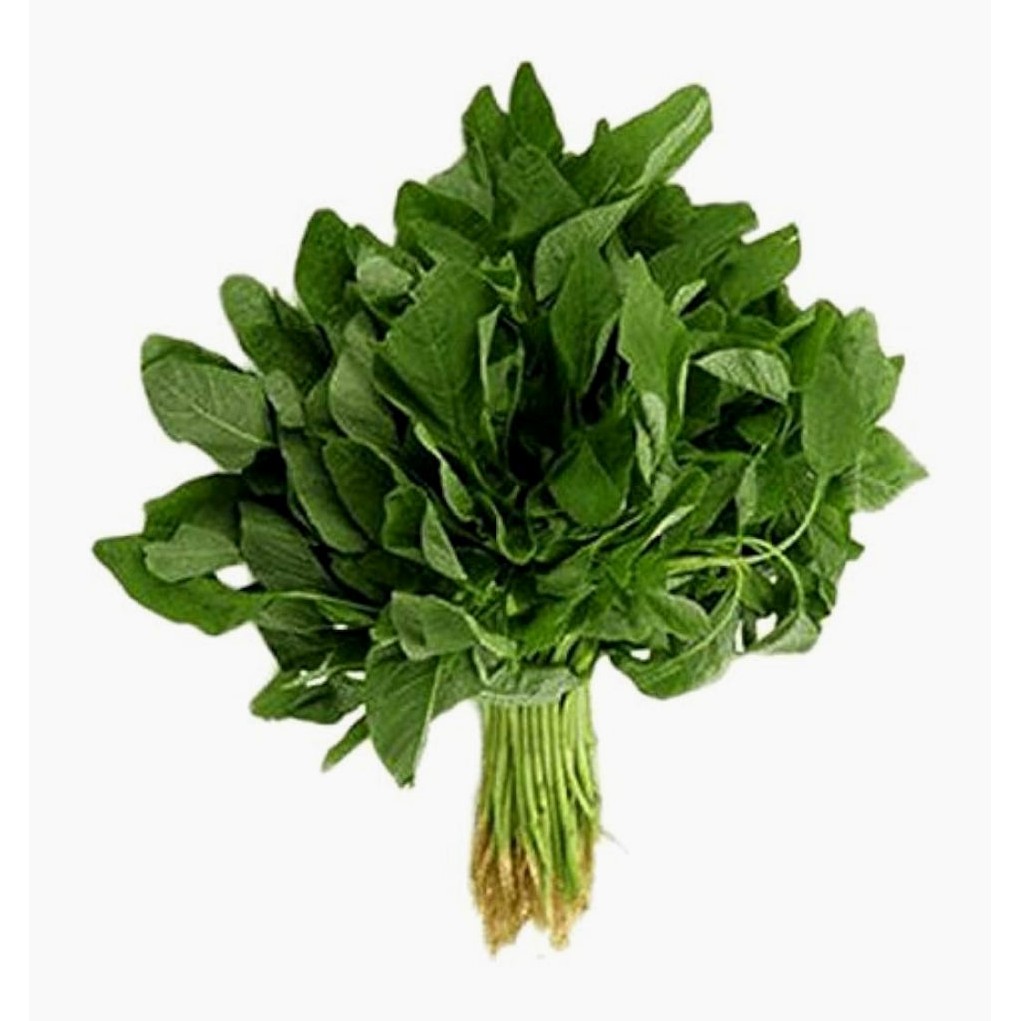 Leaf Green Thotakura 1 LBS