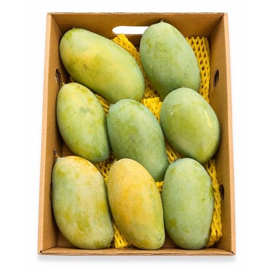 Mallika Mango Case 1 CASE