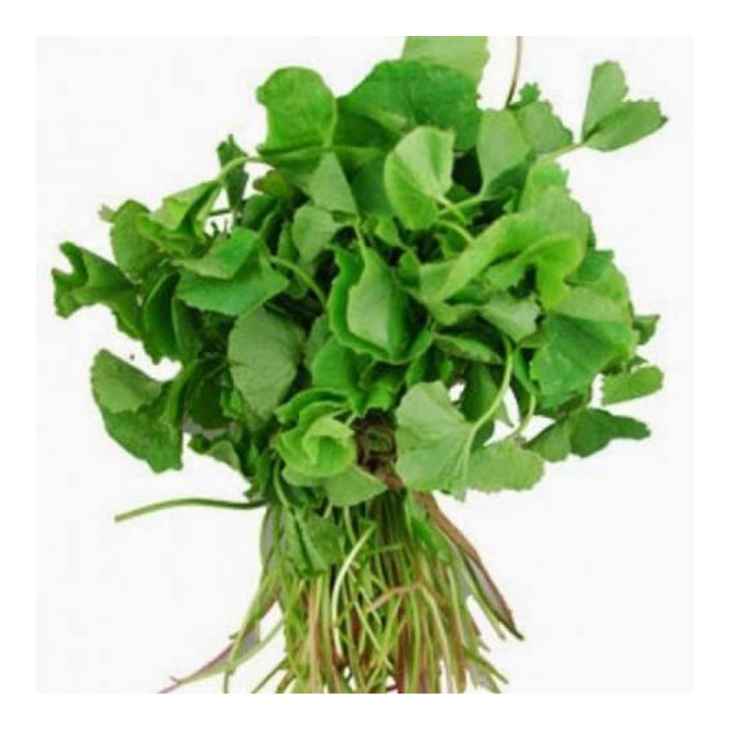 Tandelo Bhaji 1 BUNCH