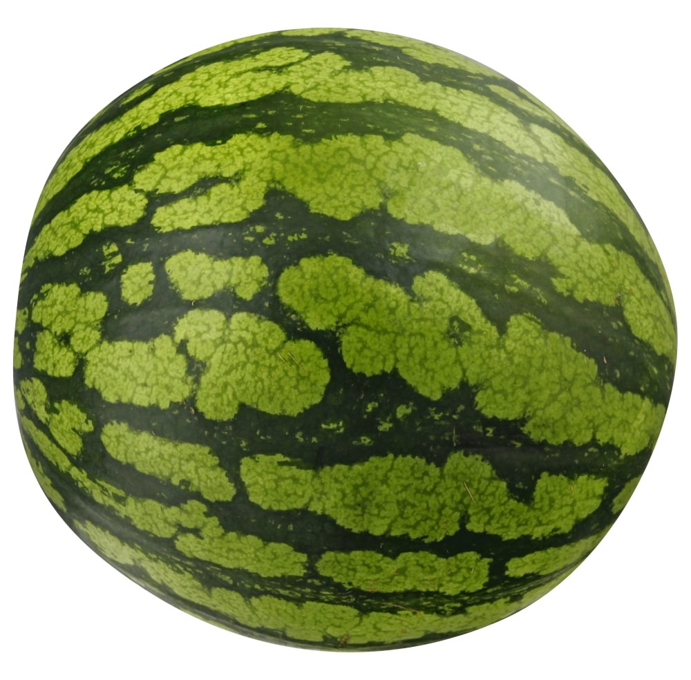 Watermelon Seedless Whole 1 EACH