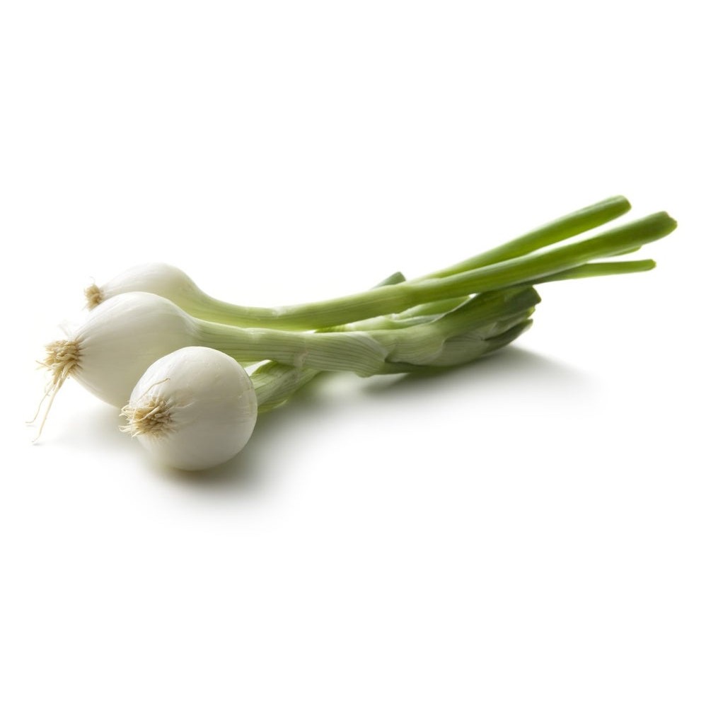 Onion Knob Bulb Small Bunch 1 EACH