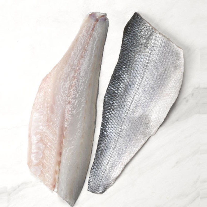 Bronzino Family Pack 4 LBS