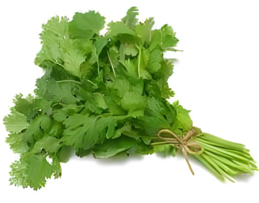 Cilantro Bunches 1 BUNCH
